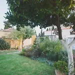 Small In The Garden Amarynthos
