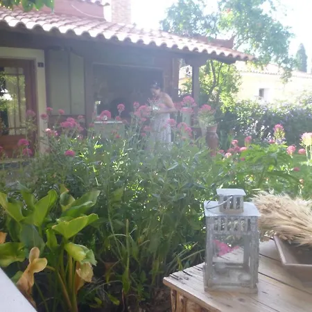 Small In The Garden