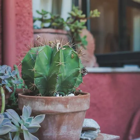 Habitación en casa particular Small In The Garden