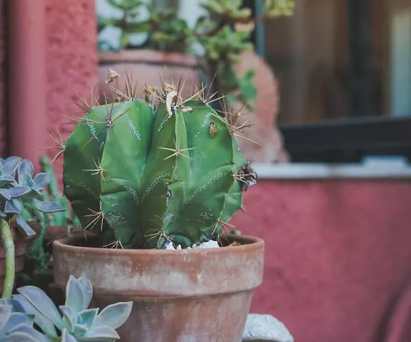 Homestay Small In The Garden